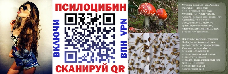 Галлюциногенные грибы мицелий  нарко площадка клад  Орёл 